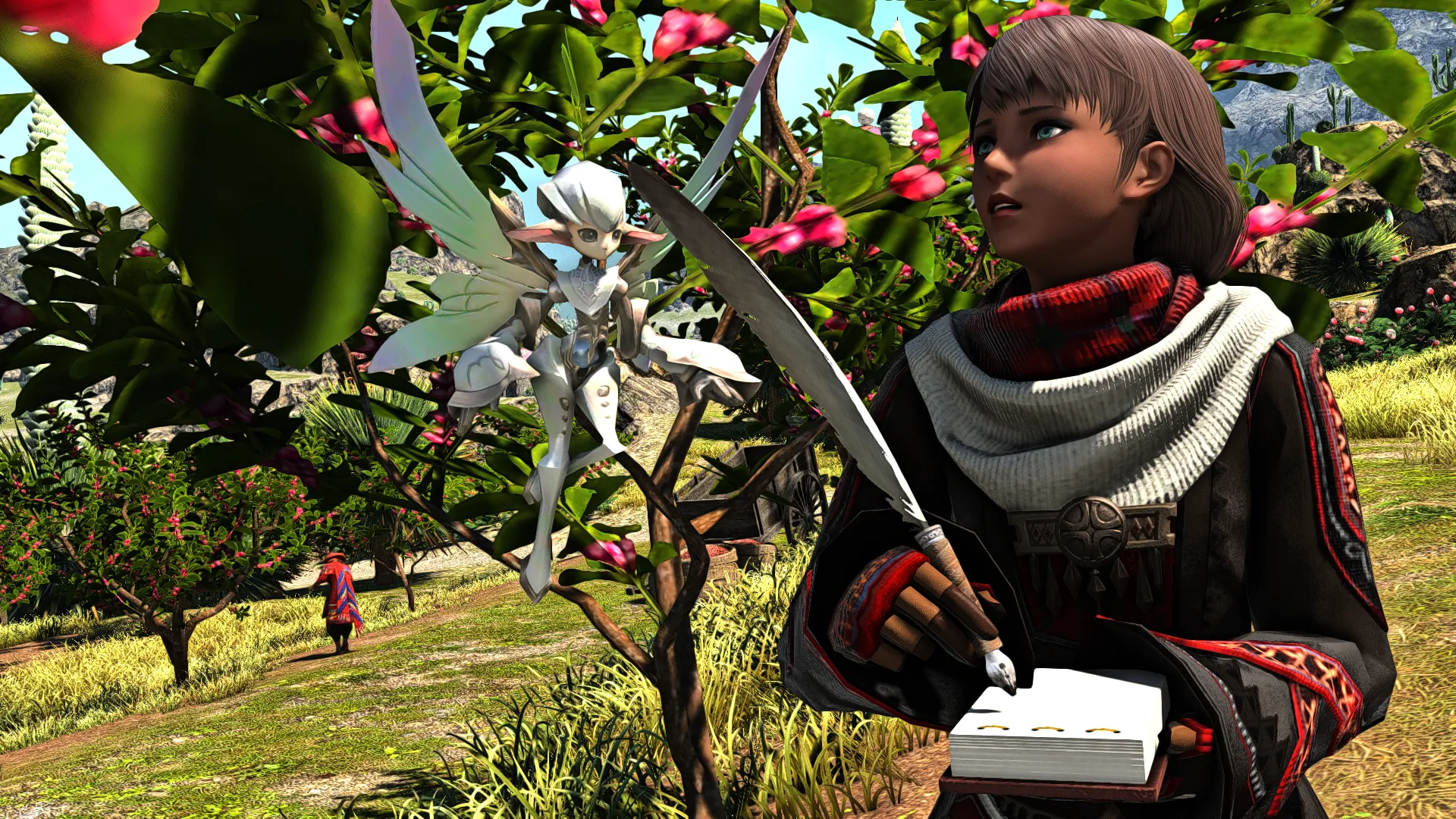 Plantations de Maté